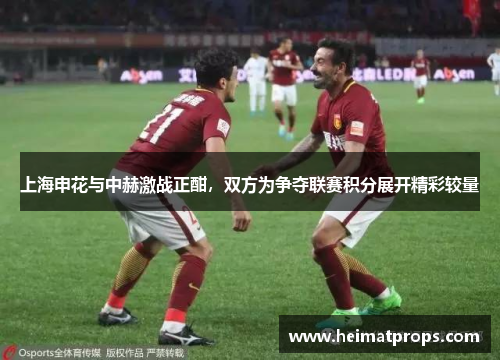 上海申花与中赫激战正酣，双方为争夺联赛积分展开精彩较量