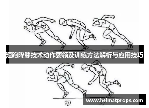 短跑降膝技术动作要领及训练方法解析与应用技巧