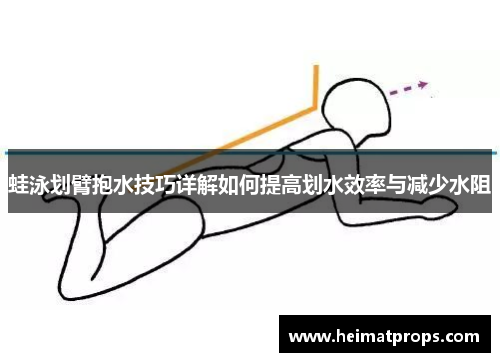 蛙泳划臂抱水技巧详解如何提高划水效率与减少水阻