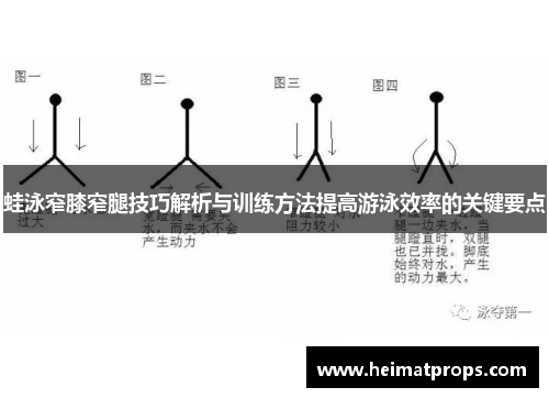 蛙泳窄膝窄腿技巧解析与训练方法提高游泳效率的关键要点