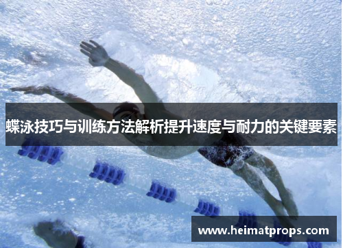 蝶泳技巧与训练方法解析提升速度与耐力的关键要素